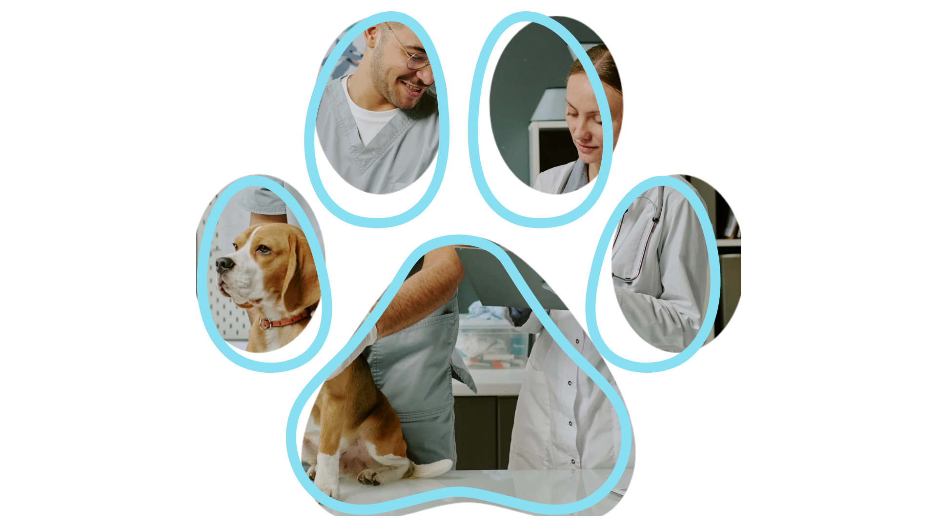 Mobile Vet near me holistic veterinary care dogs and cats Martin TN Veterinary Home Healthcare & Canine Chiropractic