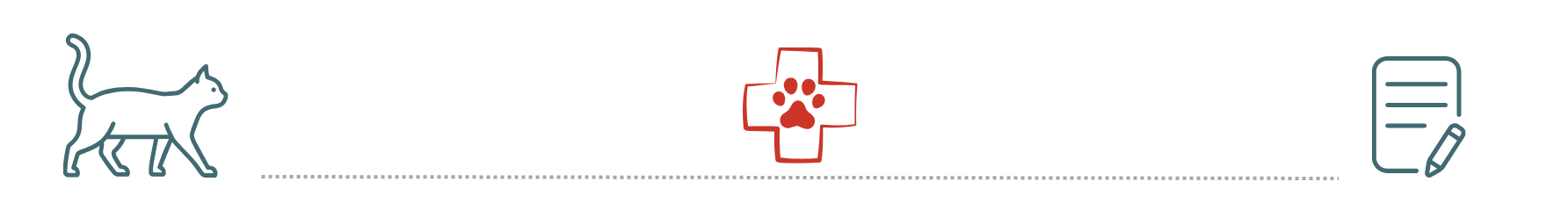 Holistic Veterinary Care Planning pet insurance supports holistic veterinary services at Veterinary Home Healthcare & Canine Chiropractic in Martin TN